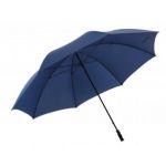 parasol